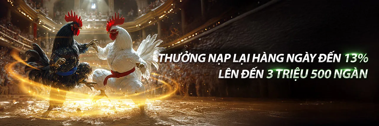 Phân tích và tối đa hóa tiền thưởng FBC8